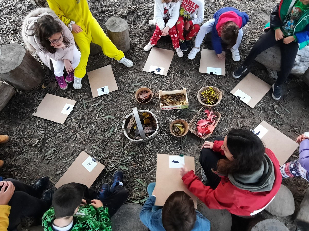 Sharing School Ground’s&nbsp;Nature