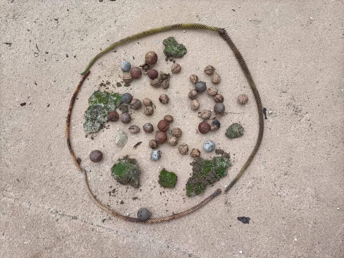 Weekly Outdoor Classes on the&nbsp;Go!